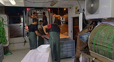 Bir ayda 198 ton hamsi çıkışı oldu