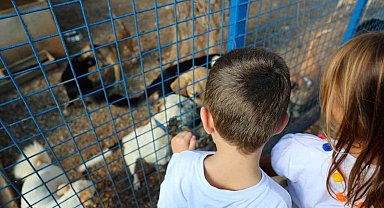 Bodrum Belediyesi sokaklardaki dostlarının yanında