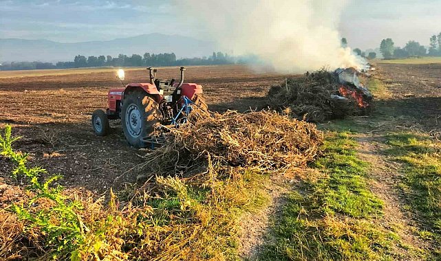 Bolu'da anız yakana hapis ve para cezası var