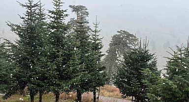 Bolu'da mevsimin ilk karı yağdı