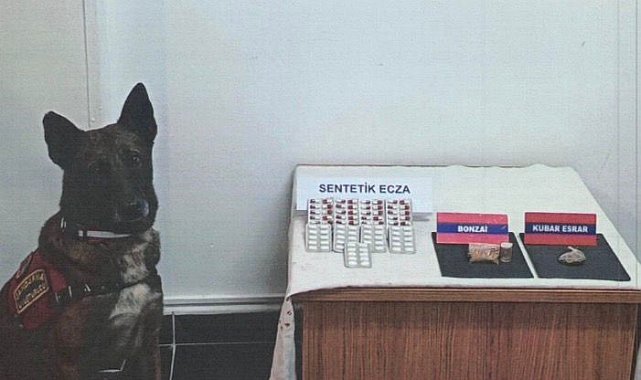 Bolu'da şüpheli araçta uyuşturucu maddeler ele geçirildi: 1 gözaltı