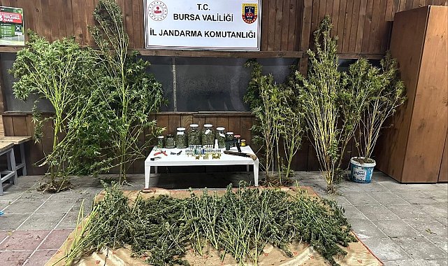 Bursa'da 9 kilo 400 gram esrar ele geçirildi