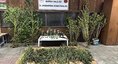 Bursa'da 9 kilo 400 gram esrar ele geçirildi