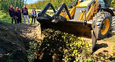 Bursa'da pestisite geçit yok