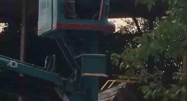 Bursa'da vinç üstünde "arı alarmı"