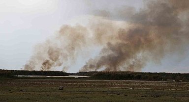 Büyük İron sazlığında yangın