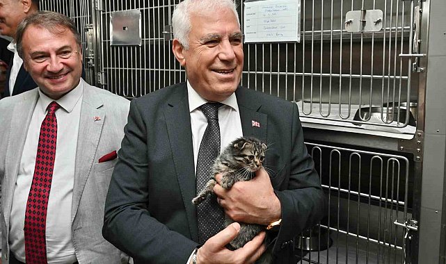 Büyükşehir'den can dostlara şefkat eli