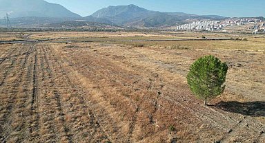 BYD'nin Manisa'daki fabrika sahasında sessizlik sürüyor