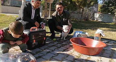 Cami imamı onlarca kediye bakıyor