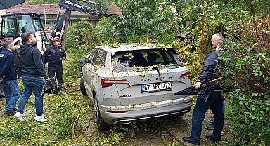Çaycuma'da park halindeki otomobilin üzerine ağaç devrildi