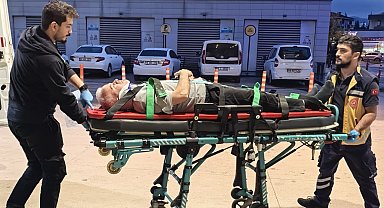 Ceviz ağacından düşen adam ağır yaralandı