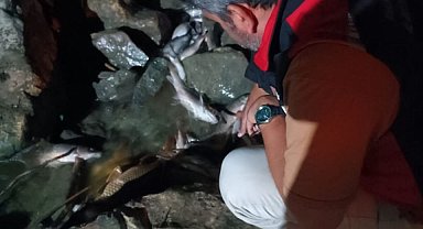 Ceyhan Nehri'ndeki kirlilikle ilgili numune alındı