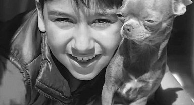 CHP'li Başkan Yardımcısı'nın araçla çarptığı çocuk hayatını kaybetti