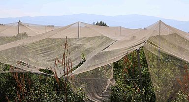 Çiftçilerin doğal sigortası file sistemi oldu