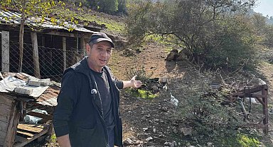 CİMER'e yapılan 'İnek ve tavuklar serbest dolaşıyor, salgın hastalık riski var' şikayeti bölge sakinlerini şaşkına uğrattı