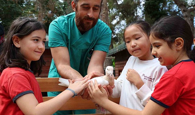 Çocuklar tedavisi tamamlanan güvercinleri doğaya saldı