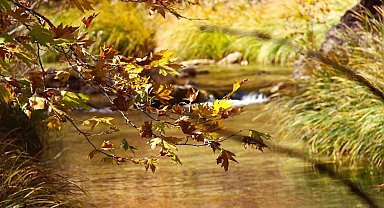 Cödden Vadisi görenleri hayran bırakıyor