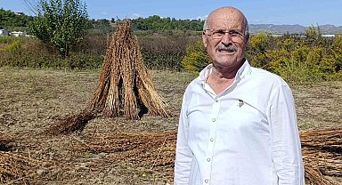 Coğrafi işaret tescilli Altın Susam'a hırsız dadandı