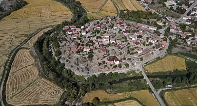 Coğrafi işaretli Tosya pirincinde susuzluk sebebiyle istenilen rekolteye ulaşılamadı