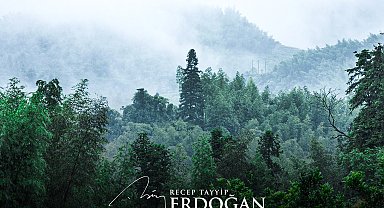 Cumhurbaşkanı Erdoğan'dan 'Yeşil Vatan Seferberliği' çağrısı