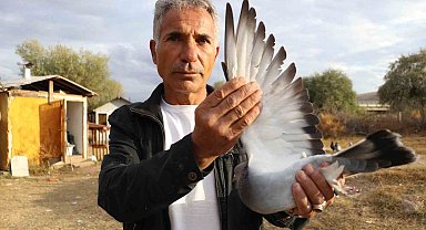 Değeri yarım milyondan fazla, yurt dışından bile talep görüyor