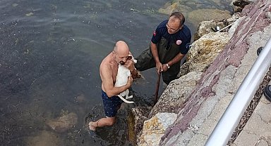 Deniz kenarında sıkışan köpek için kurtarma operasyonu
