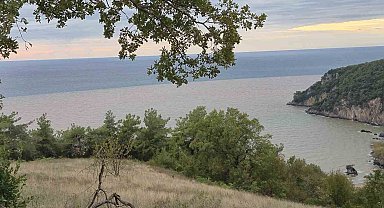 Denizin rengi değişti, plaja tıbbi atıklar vurdu