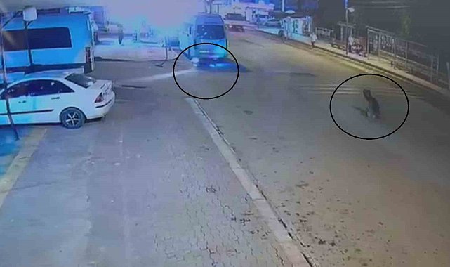 Devrilerek sürüklenen motosiklet, park halindeki minibüsün altına girdi: O anlar kamerada