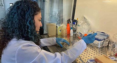 Diyabet yaralarına çözüm olacak bor destekli proje