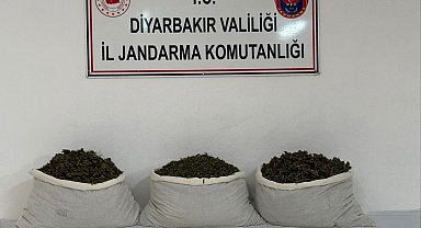 Diyarbakır'da 15 kilo skunk ele geçirildi