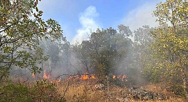 Diyarbakır'da örtü yangını 7 saat sonra helikopter desteğiyle söndürüldü