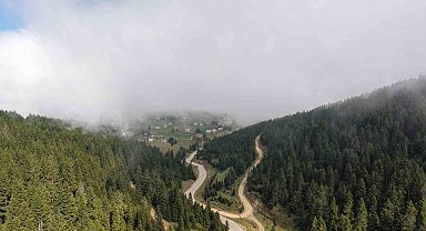 Doğu Karadeniz Bölgesinde heyelan alarmı