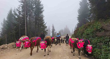 Doğu Karadeniz'de yaylalardan dönüşler hızlandı