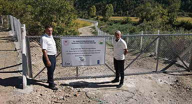 Domuzların talan ettiği çeltik tarlaları, devlet desteğiyle yeniden verimli hale getirildi