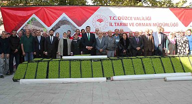 Düzce'de yüzde 75 destekli 232 bin 500 adet marul fidesi dağıtıldı