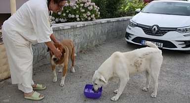 Edirne'de 200 bin TL borçla boğuşan KEHAY-KO'dan yardım çağrısı