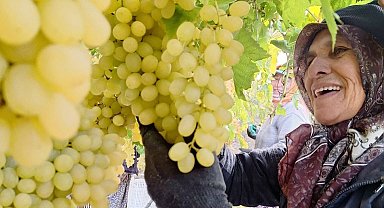 Ekim ayı bitiyor, üzüm bitmiyor