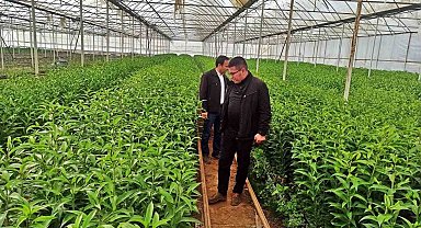 Emet'te üreticiler için Simav'daki seralara teknik gezi