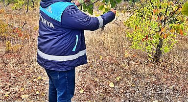 Emet'te uydu takibi yapılan arazilerde fiziki kontroller yapıldı