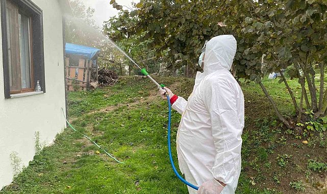 Erenler'de kokarcaya yönelik etkili mücadele sürüyor