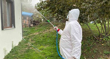 Erenler'de kokarcaya yönelik etkili mücadele sürüyor