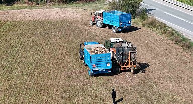 Erzincan'ın bereketli topraklarında pancar hasadı başladı