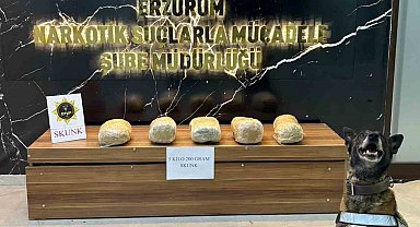 Erzurum'da 5 kilo 200 gram skunk maddesi ele geçirildi