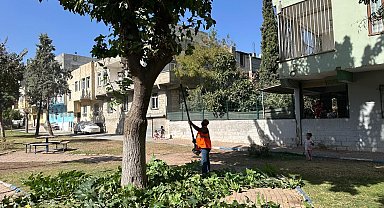 Eyyübiye'deki parklarda sonbahar bakımı