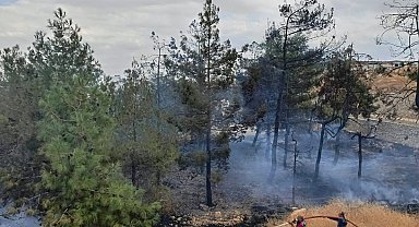 Fabrikanın ağaçlık alanında çıkan yangın korkuttu