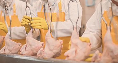 Filipinler'e kanatlı eti ve su ürünleri yolu açıldı