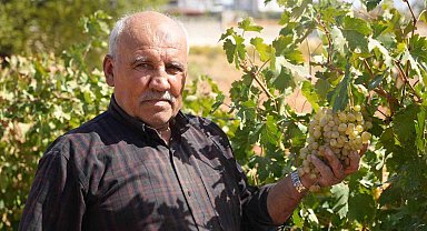 Fıstık şehrine kurduğu üzüm bağı üreticilere örnek oldu