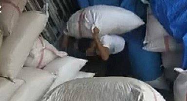 Gaziantep'te 450 bin TL'lik Antep fıstığı hırsızlığı kamerada