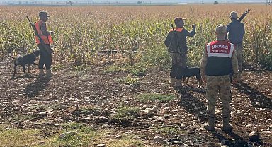Gaziantep'te tarım arazilerine zarar veren yaban domuzları için sürek avı yapıldı