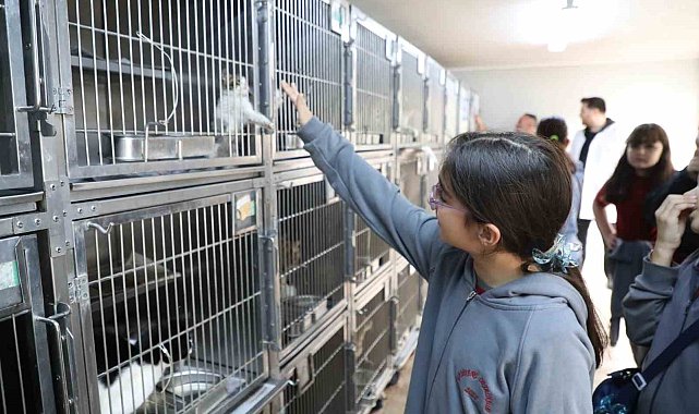 Gaziosmanpaşa'da Dünya Hayvanları Koruma Günü'ne özel etkinlik